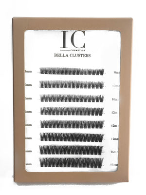 
                  
                    Bella Cluster Lashes
                  
                